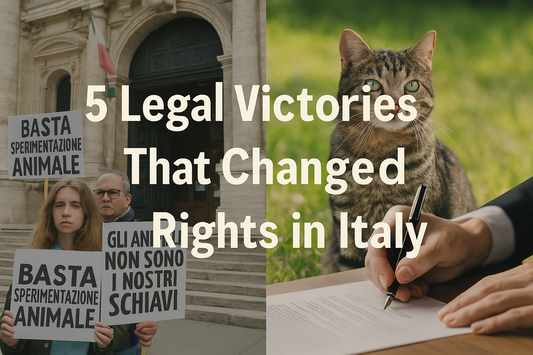 Split image: protesters holding signs for animal rights in front of an Italian courthouse on the left, and a goat in a meadow next to a legal document being signed on the right.