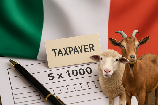 📝 Cos’è il 5x1000 e come puoi donarlo a Sotto la Panca?
