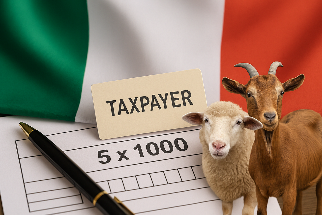 📝 Cos’è il 5x1000 e come puoi donarlo a Sotto la Panca?